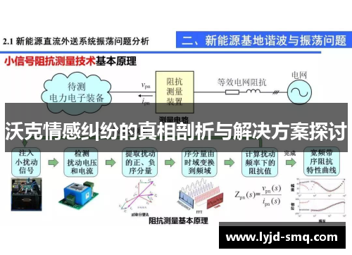 沃克情感纠纷的真相剖析与解决方案探讨